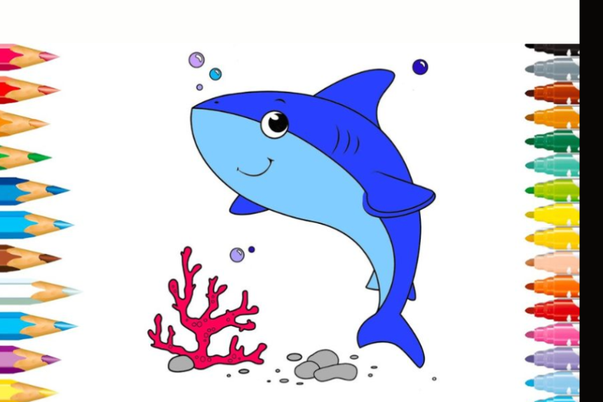 cute:s4nremv56q0= shark drawing