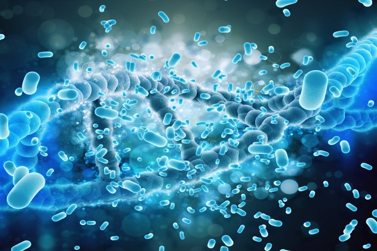 Probiotics vs Prebiotics: Understanding the Difference
